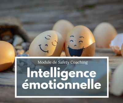 Formation Intelligence émotionnelle : amie ou ennemie