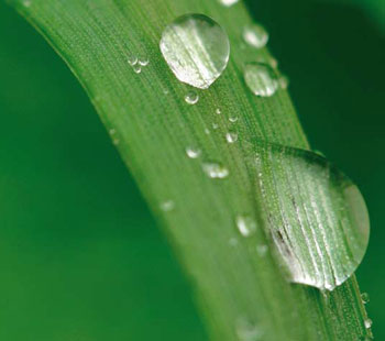 environnement, développement durable, économies environnement, développement durable, économies