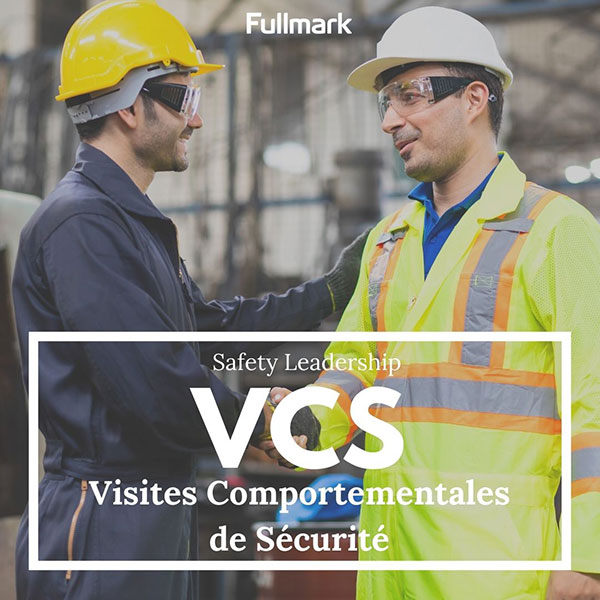 Visites comportementales de sécurité VCS