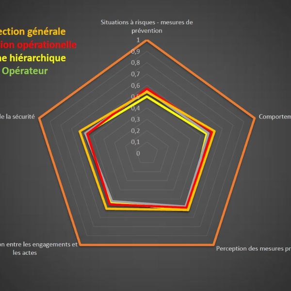 diagnostic culture sécurité