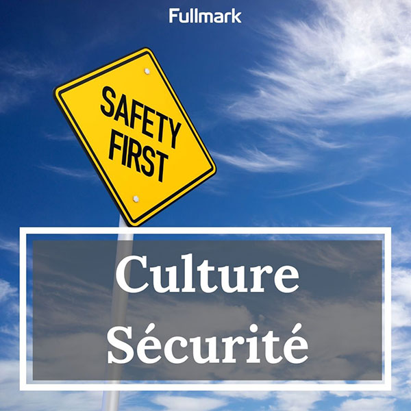 diagnostic culture sécurité diagnostic culture sécurité