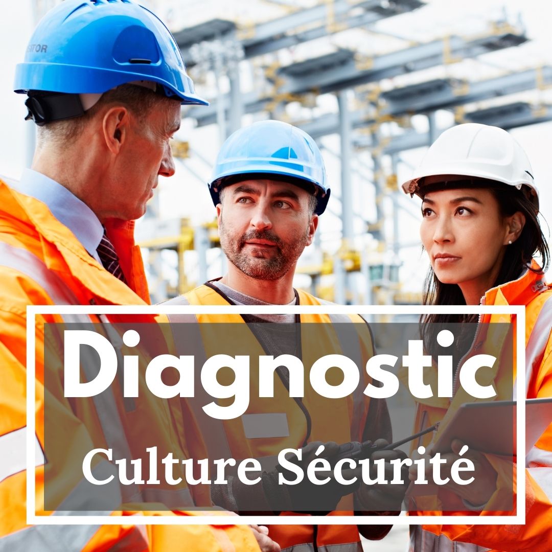 diagnostic culture sécurité diagnostic culture sécurité