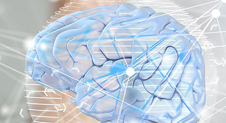 neurosciences au service de la sécurité