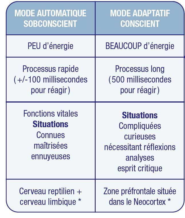 comprendre cerveau