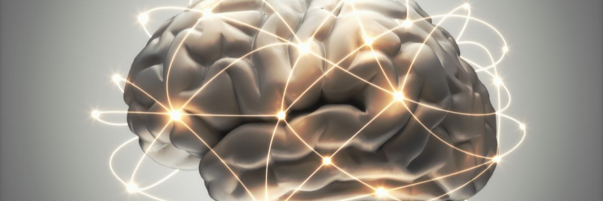 Atelier Sécurité et neurosciences
